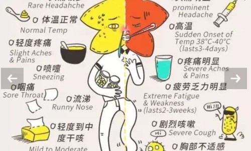 所有果实类中药图片大全-所有果实类中药图片网果实类中草药都有哪些知识网站,分享果实类中药图片及名称大全