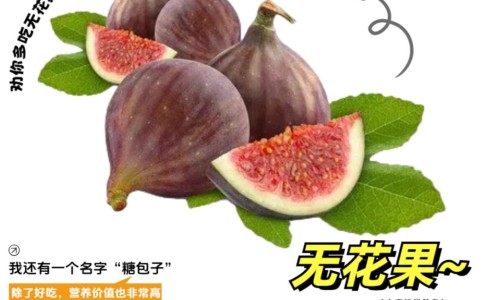 所有果实的大全-所有果实类中药图片网果实类中草药都有哪些知识网站,分享果实类中药图片及名称大全
