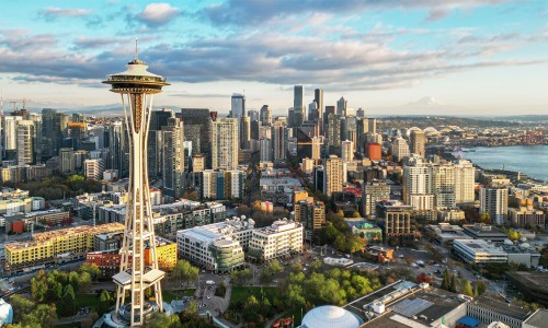 所有果实类中药图片大全-所有果实类中药图片网果实类中草药都有哪些知识网站,分享果实类中药图片及名称大全
