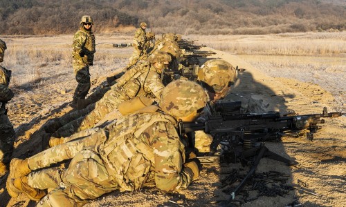 所有果实类中药图片大全-所有果实类中药图片网果实类中草药都有哪些知识网站,分享果实类中药图片及名称大全