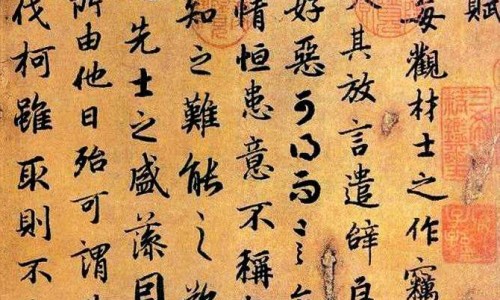 所有果实类中药图片网果实类中草药都有哪些知识网站,分享果实类中药图片及名称大全